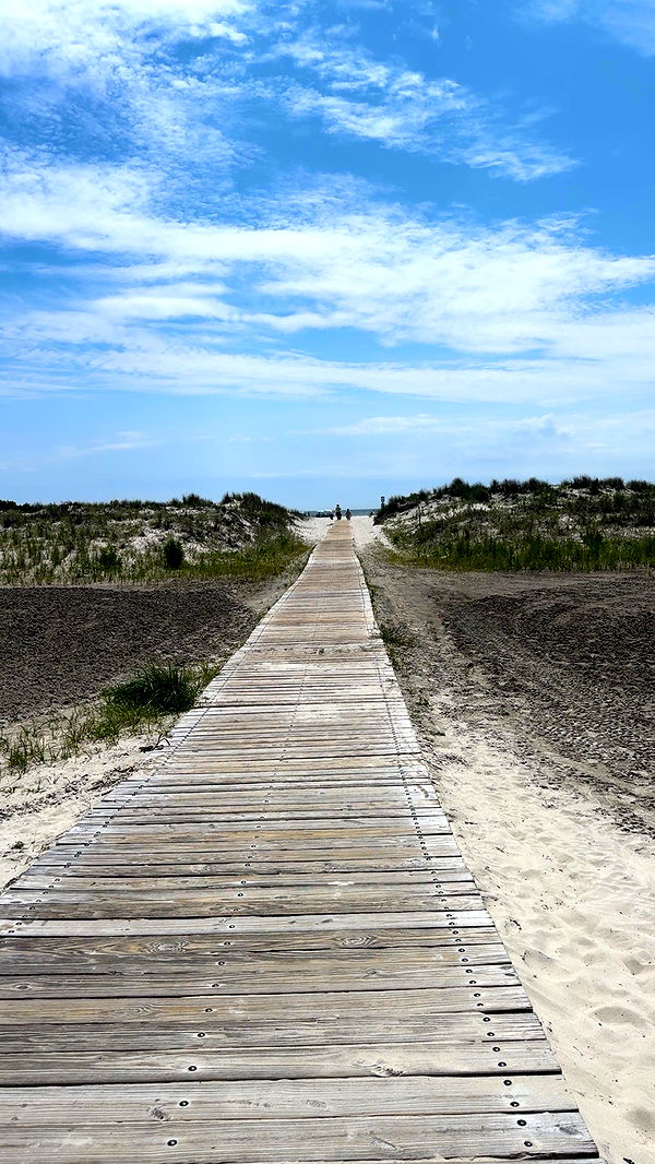 carmmieecat image ~ Altpins