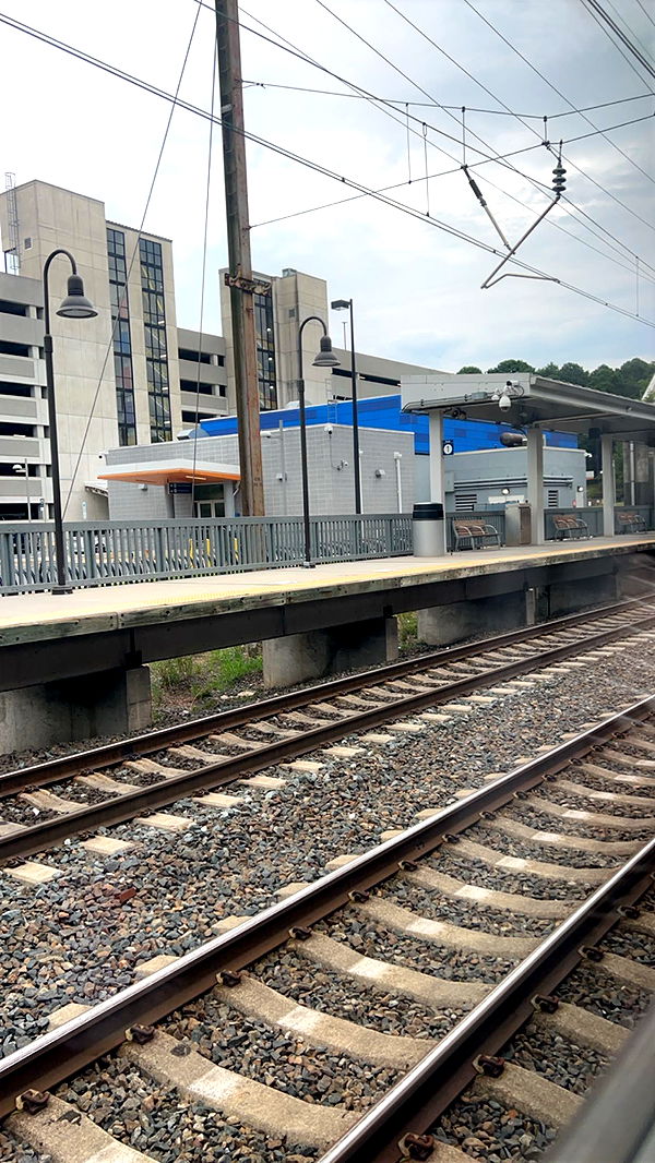 carmmieecat image ~ Altpins