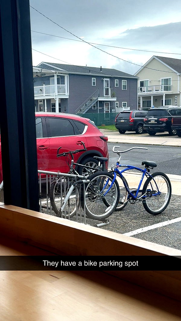 carmmieecat image ~ Altpins