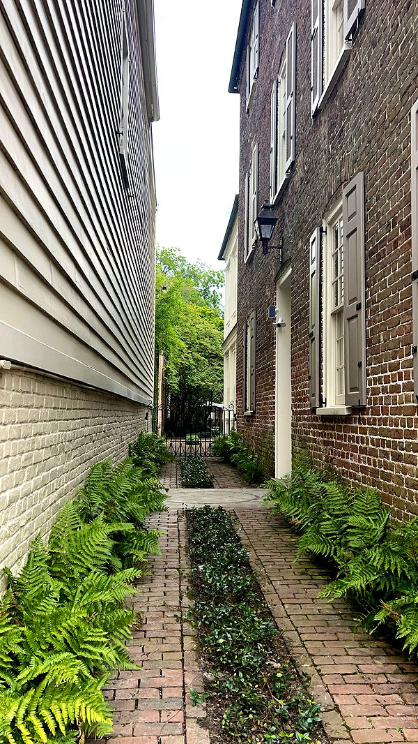 carmmieecat image ~ Altpins