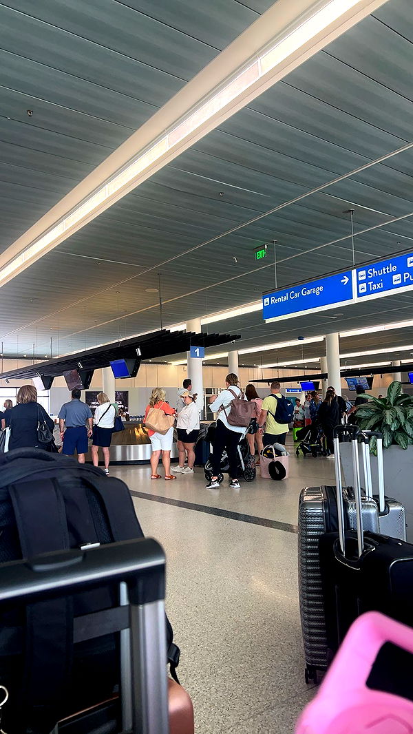 carmmieecat image ~ Altpins