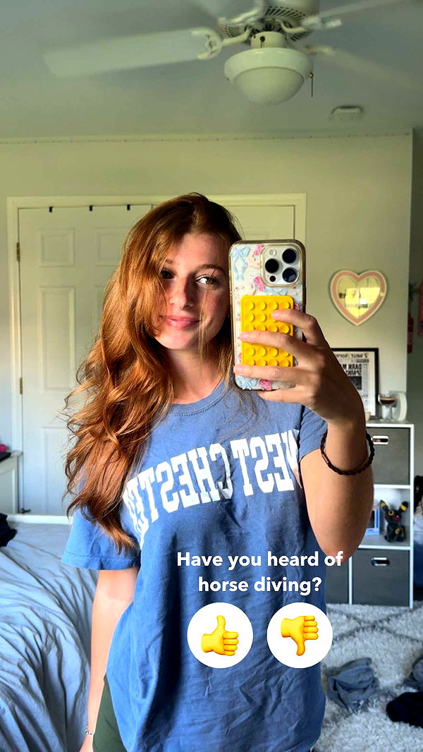 carmmieecat image ~ Altpins