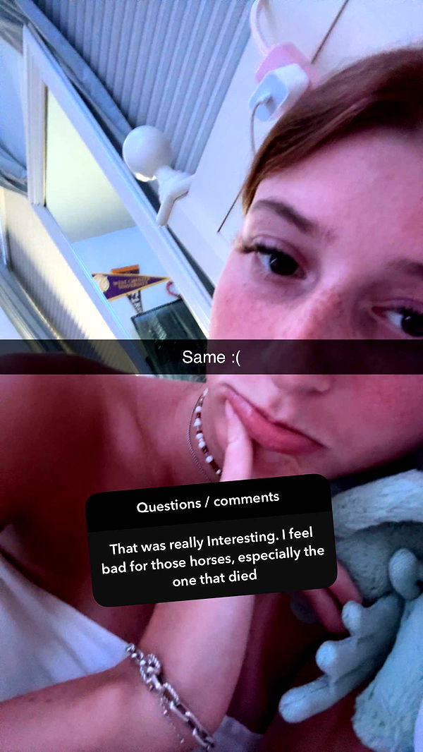 carmmieecat image ~ Altpins