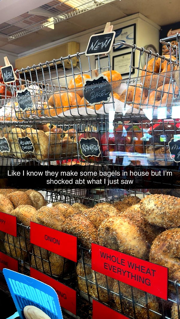 carmmieecat image ~ Altpins