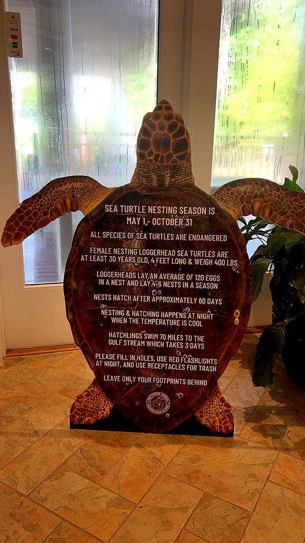 carmmieecat image ~ Altpins