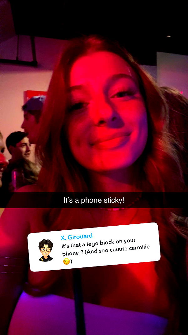 carmmieecat image ~ Altpins