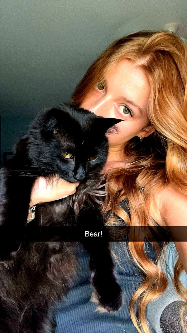 carmmieecat image ~ Altpins