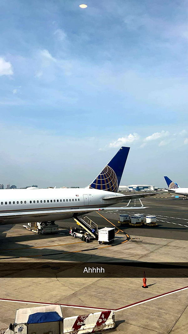 carmmieecat image ~ Altpins