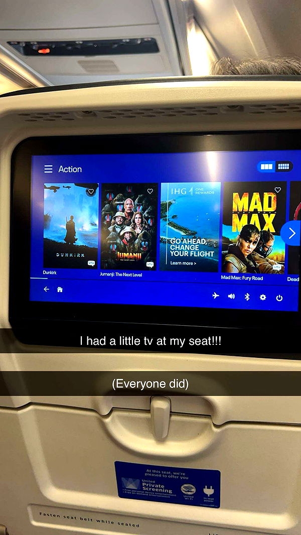 carmmieecat image ~ Altpins