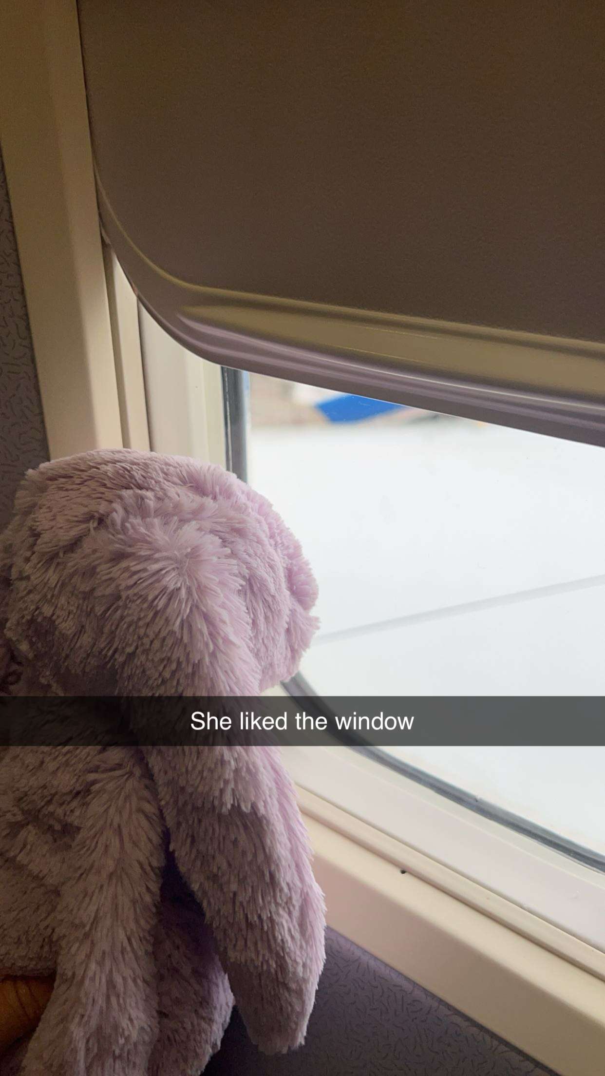 carmmieecat snapchat image archive image