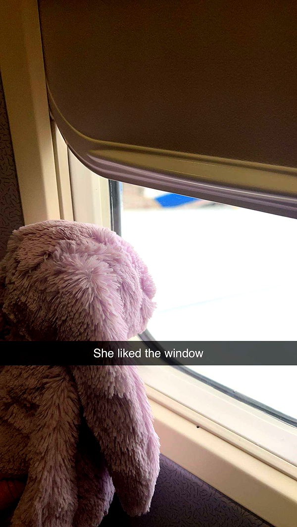 carmmieecat image ~ Altpins