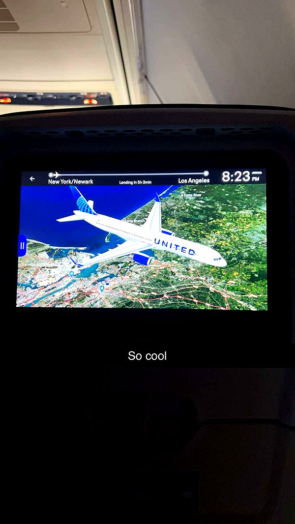 carmmieecat image ~ Altpins