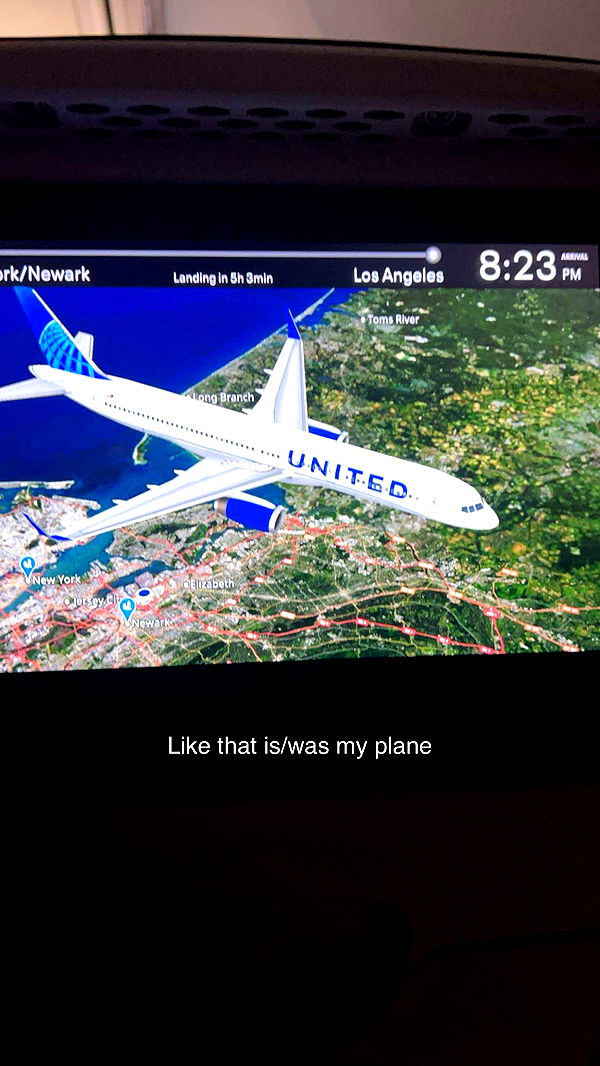 carmmieecat image ~ Altpins