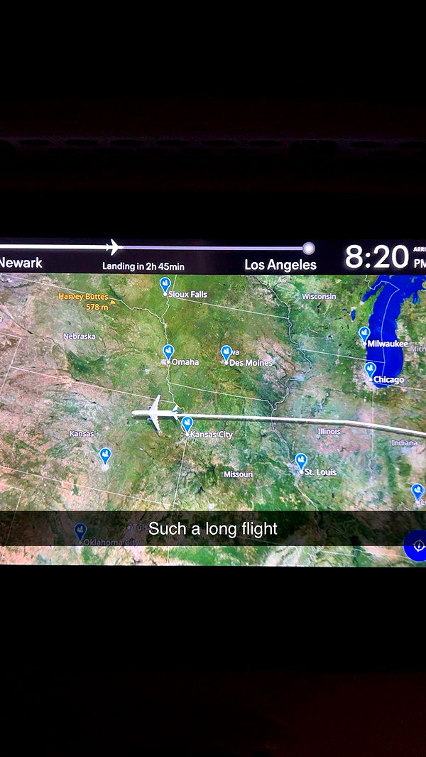 carmmieecat image ~ Altpins