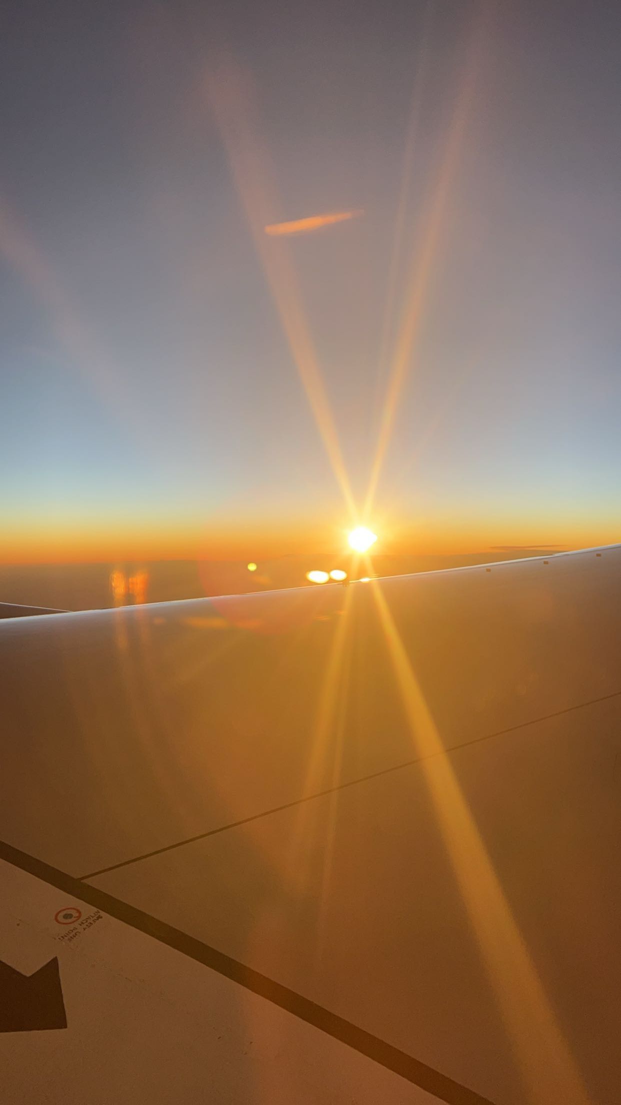 carmmieecat snapchat image archive image