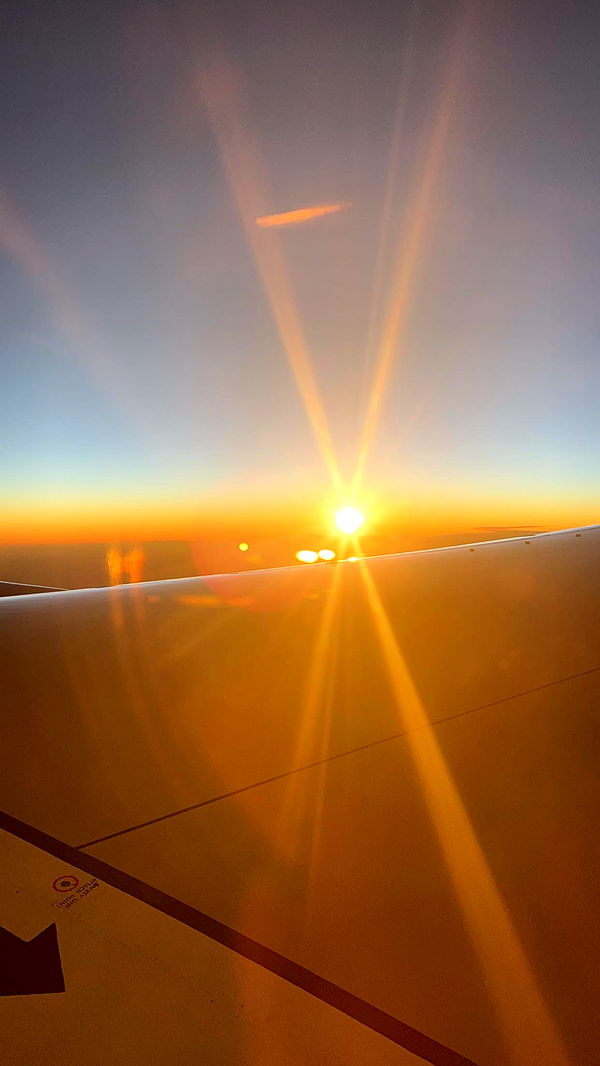 carmmieecat image ~ Altpins