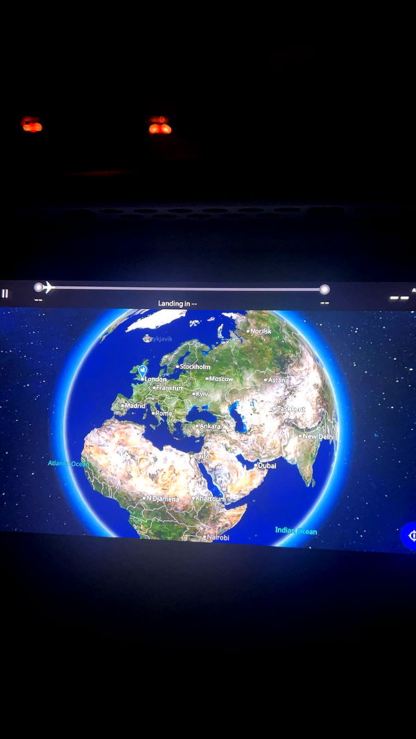 carmmieecat image ~ Altpins