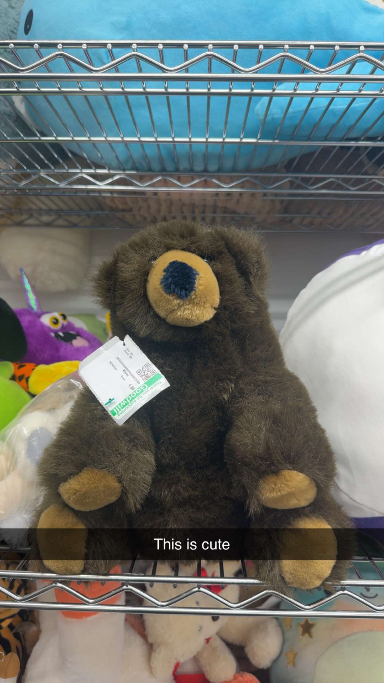 carmmieecat snapchat image archive image