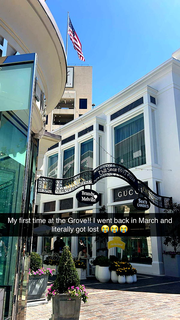 carmmieecat image ~ Altpins