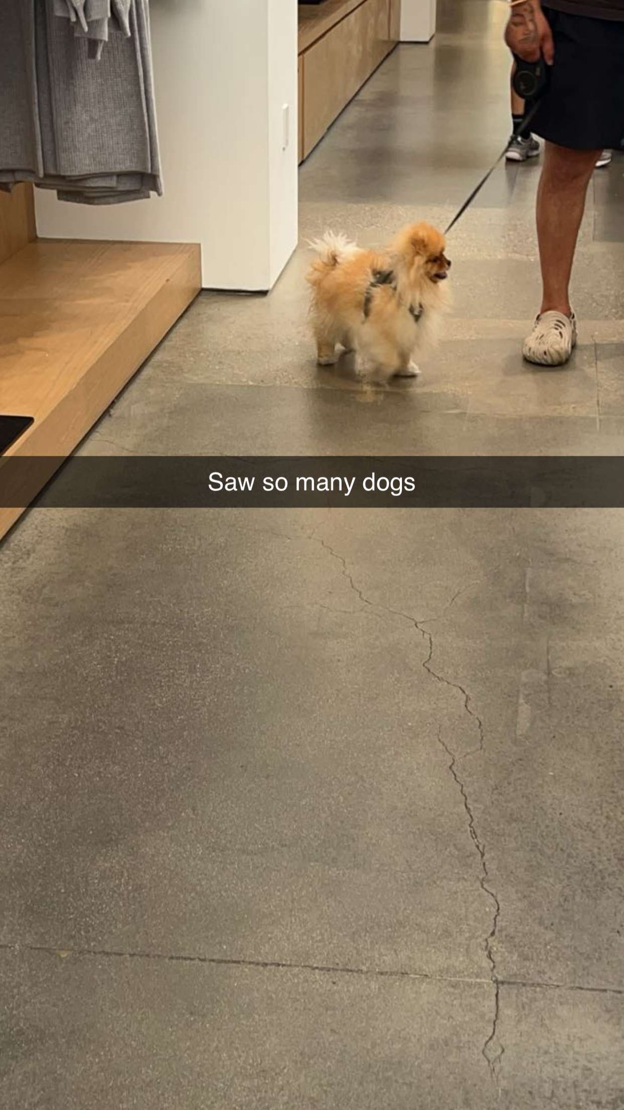 carmmieecat snapchat image archive image