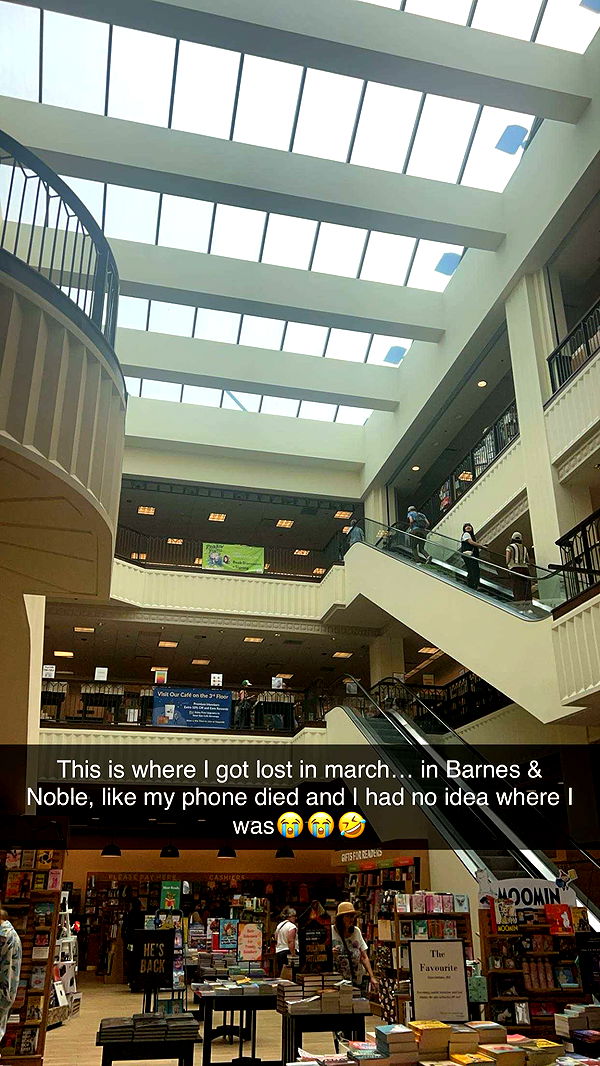 carmmieecat image ~ Altpins