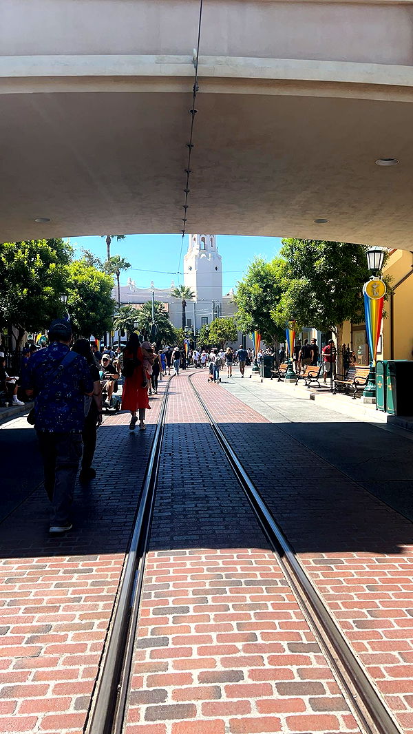 carmmieecat image ~ Altpins