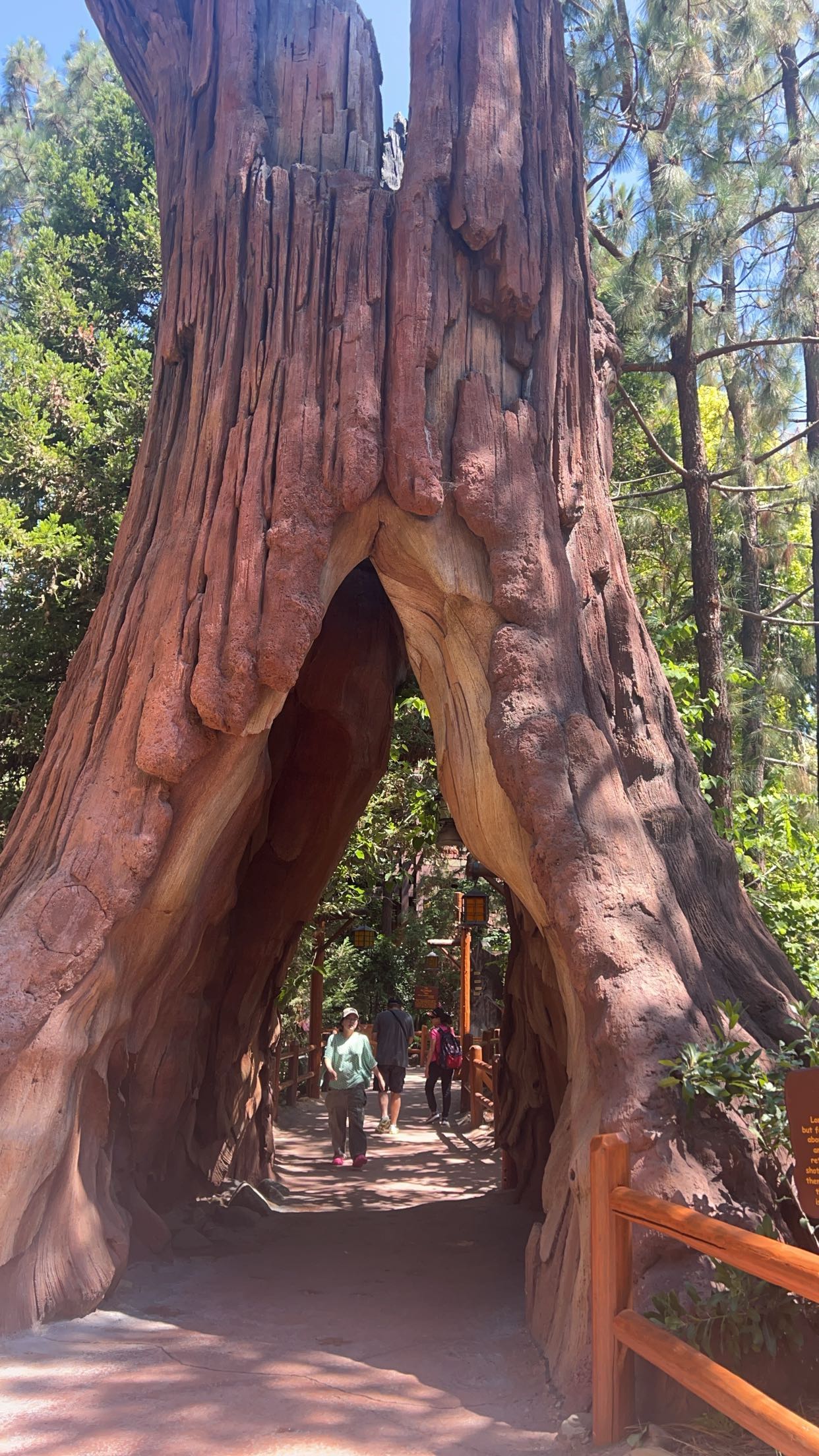 carmmieecat snapchat image archive image