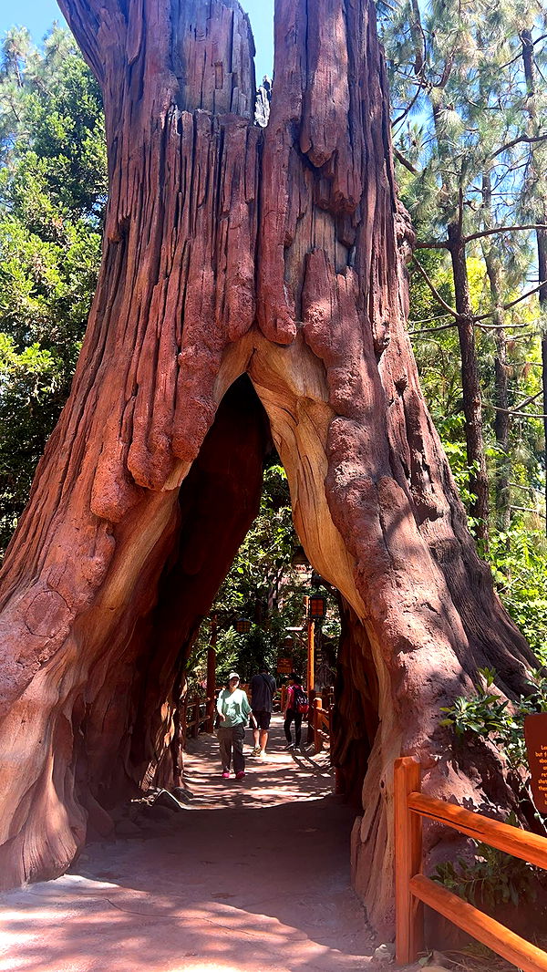 carmmieecat image ~ Altpins