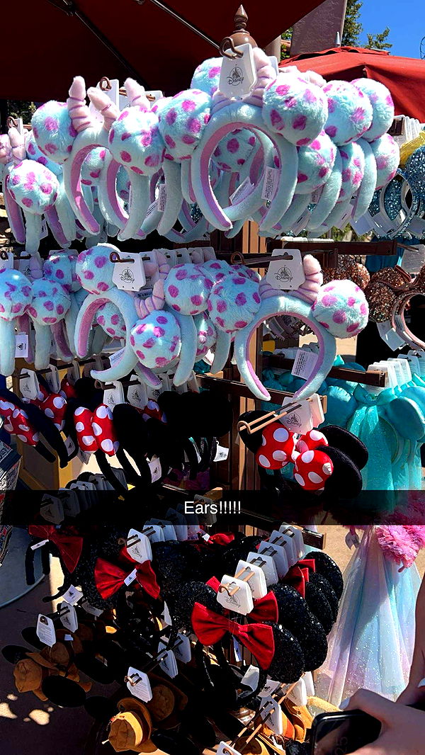 carmmieecat image ~ Altpins