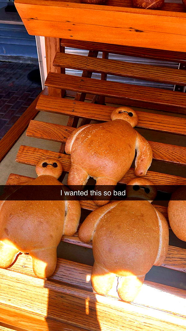 carmmieecat image ~ Altpins