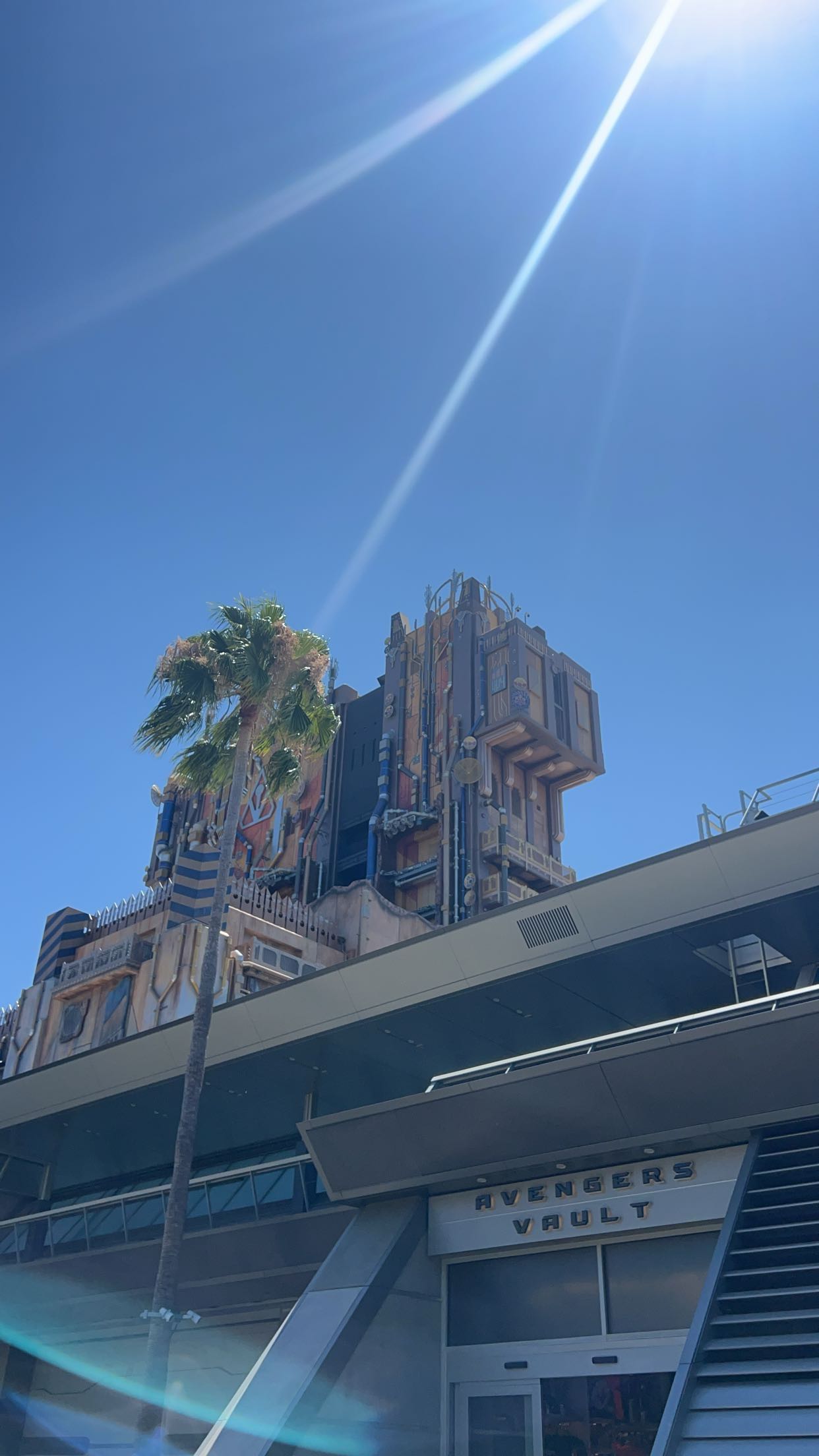 carmmieecat snapchat image archive image