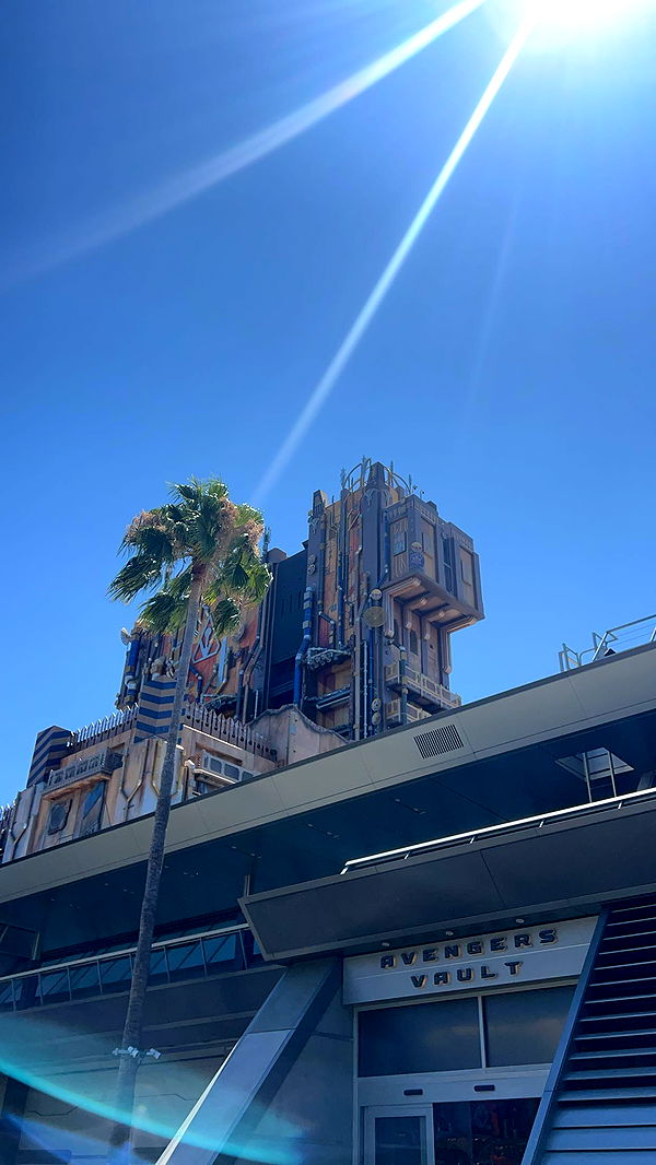 carmmieecat image ~ Altpins