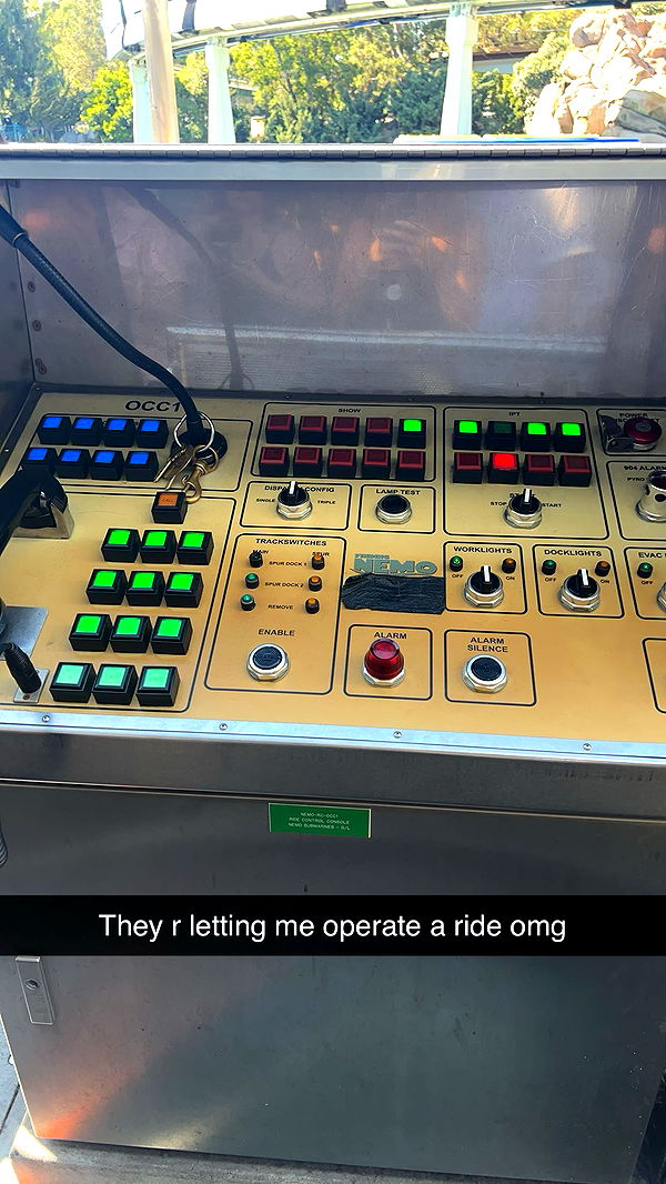 carmmieecat image ~ Altpins