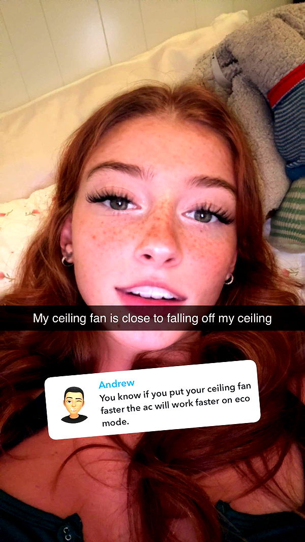 carmmieecat image ~ Altpins