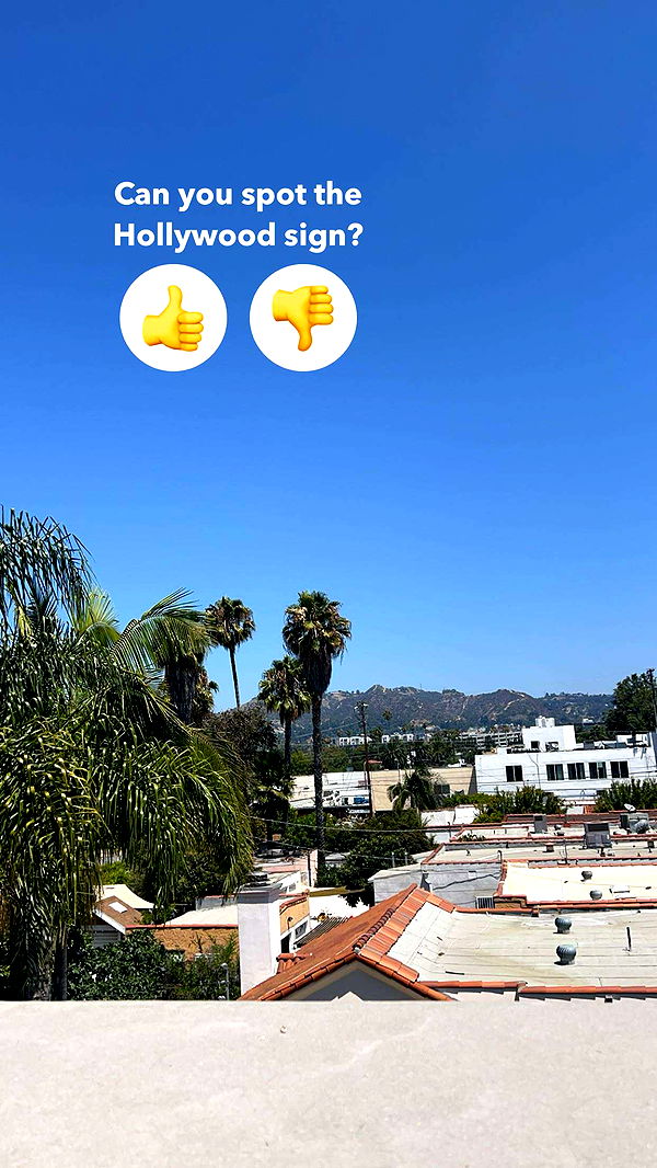 carmmieecat image ~ Altpins