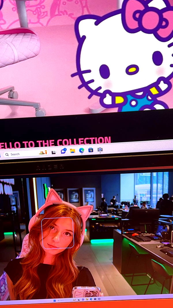 carmmieecat image ~ Altpins