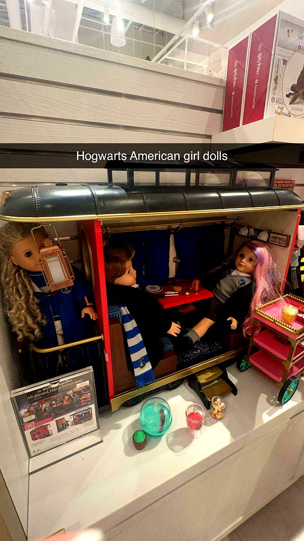 carmmieecat image ~ Altpins