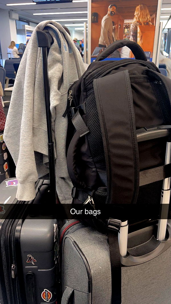 carmmieecat image ~ Altpins