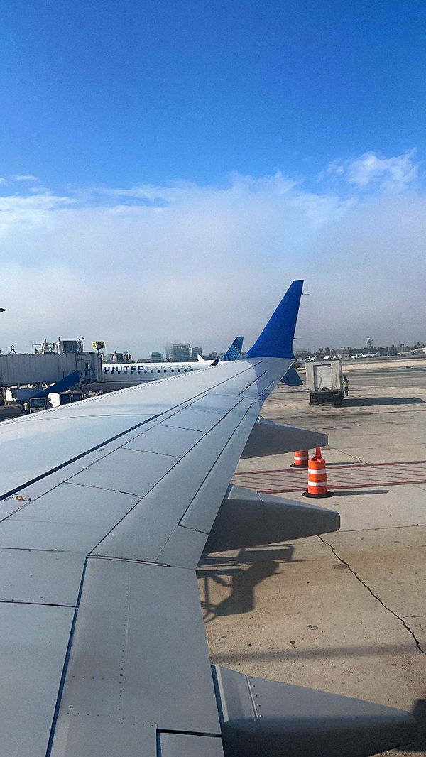 carmmieecat image ~ Altpins