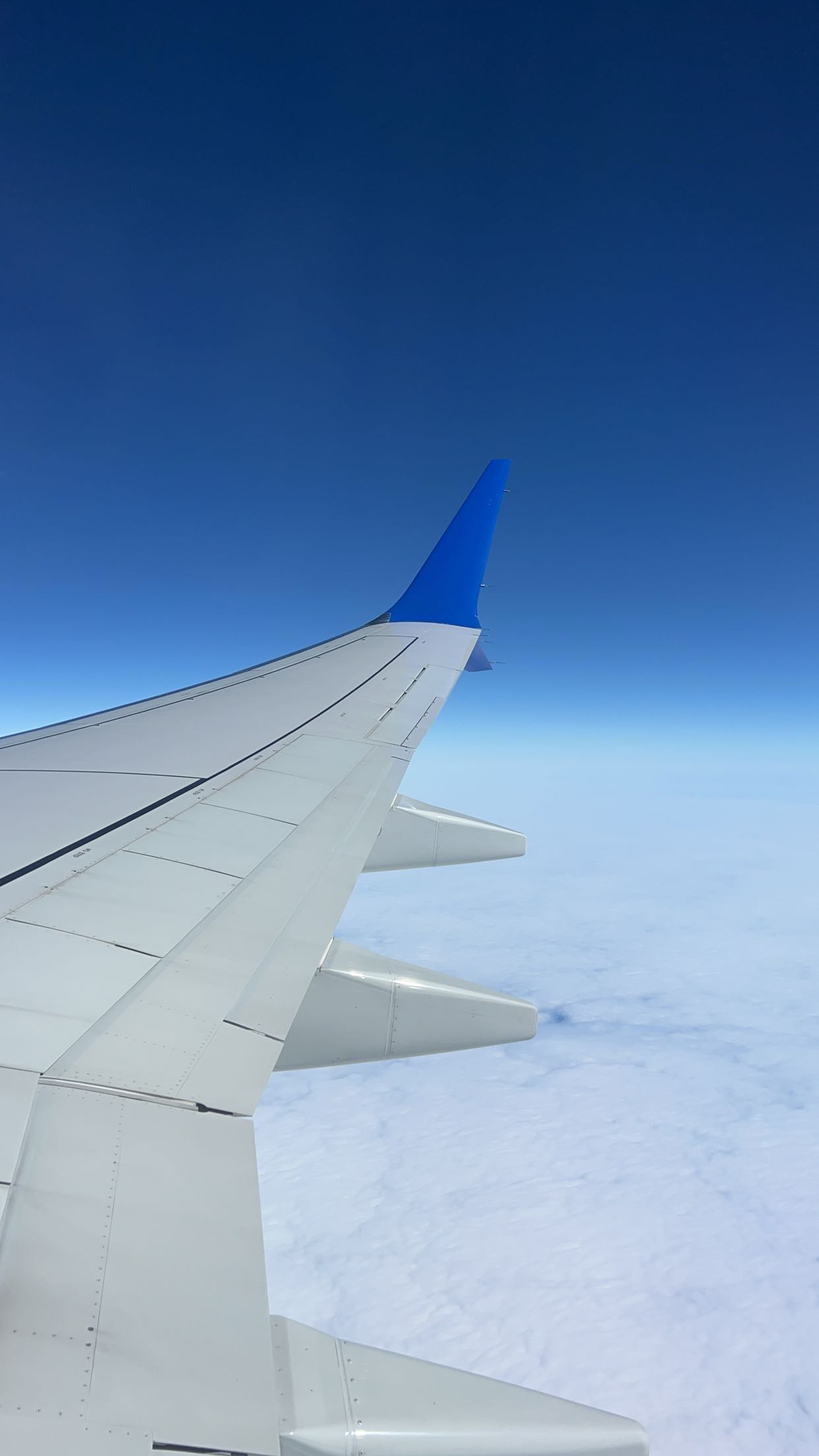 carmmieecat snapchat image archive image