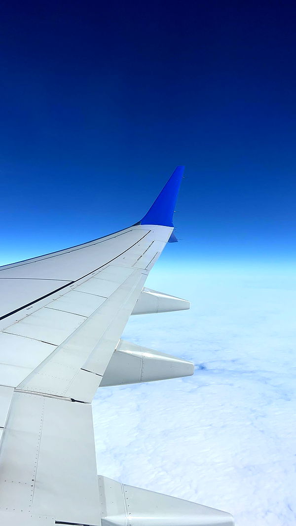 carmmieecat image ~ Altpins