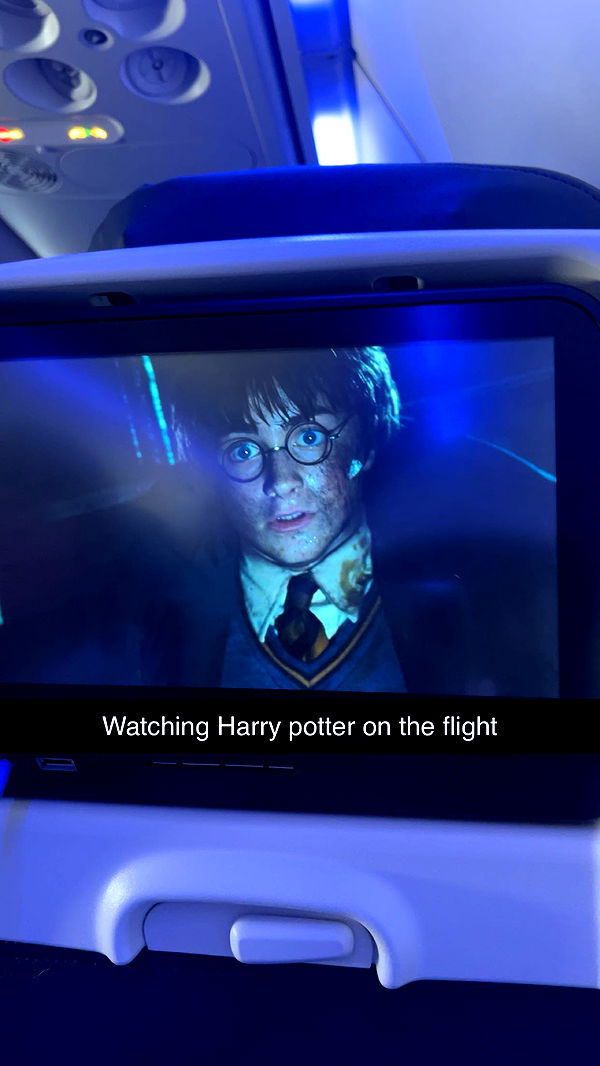 carmmieecat image ~ Altpins