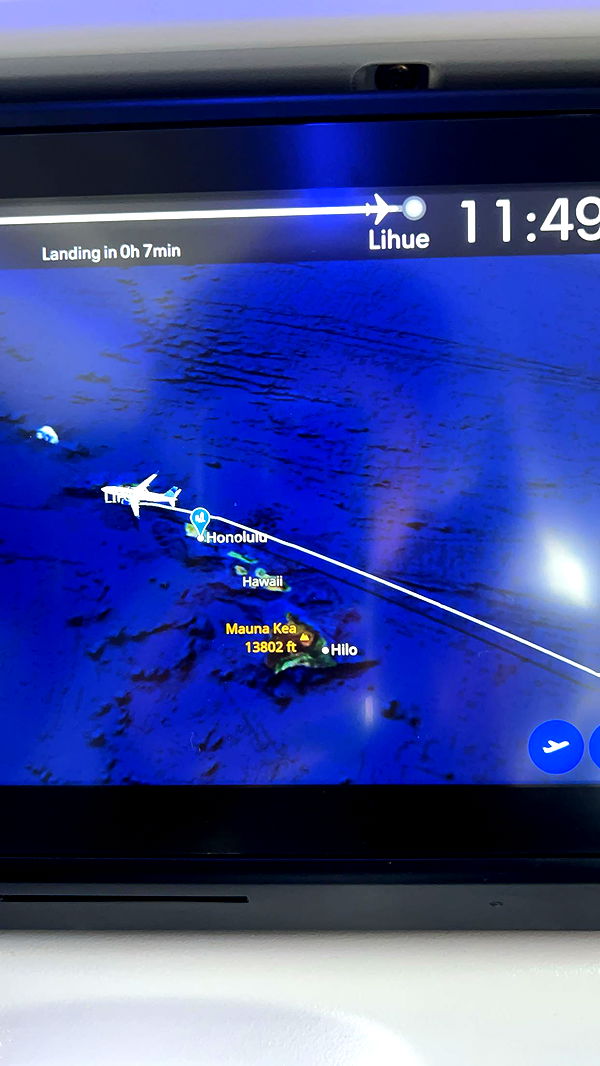 carmmieecat image ~ Altpins