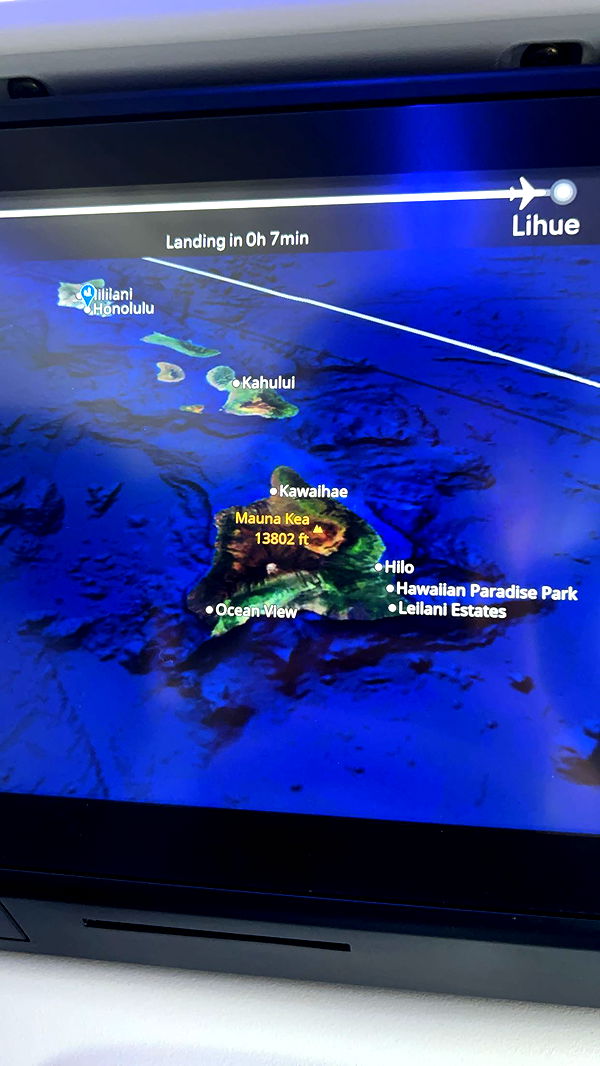 carmmieecat image ~ Altpins