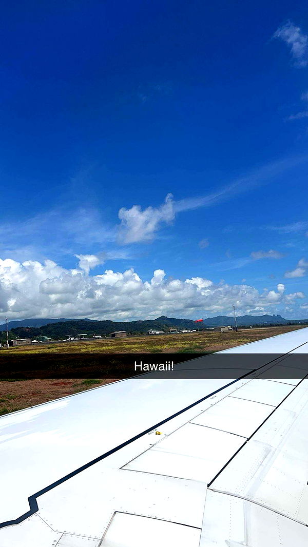 carmmieecat image ~ Altpins