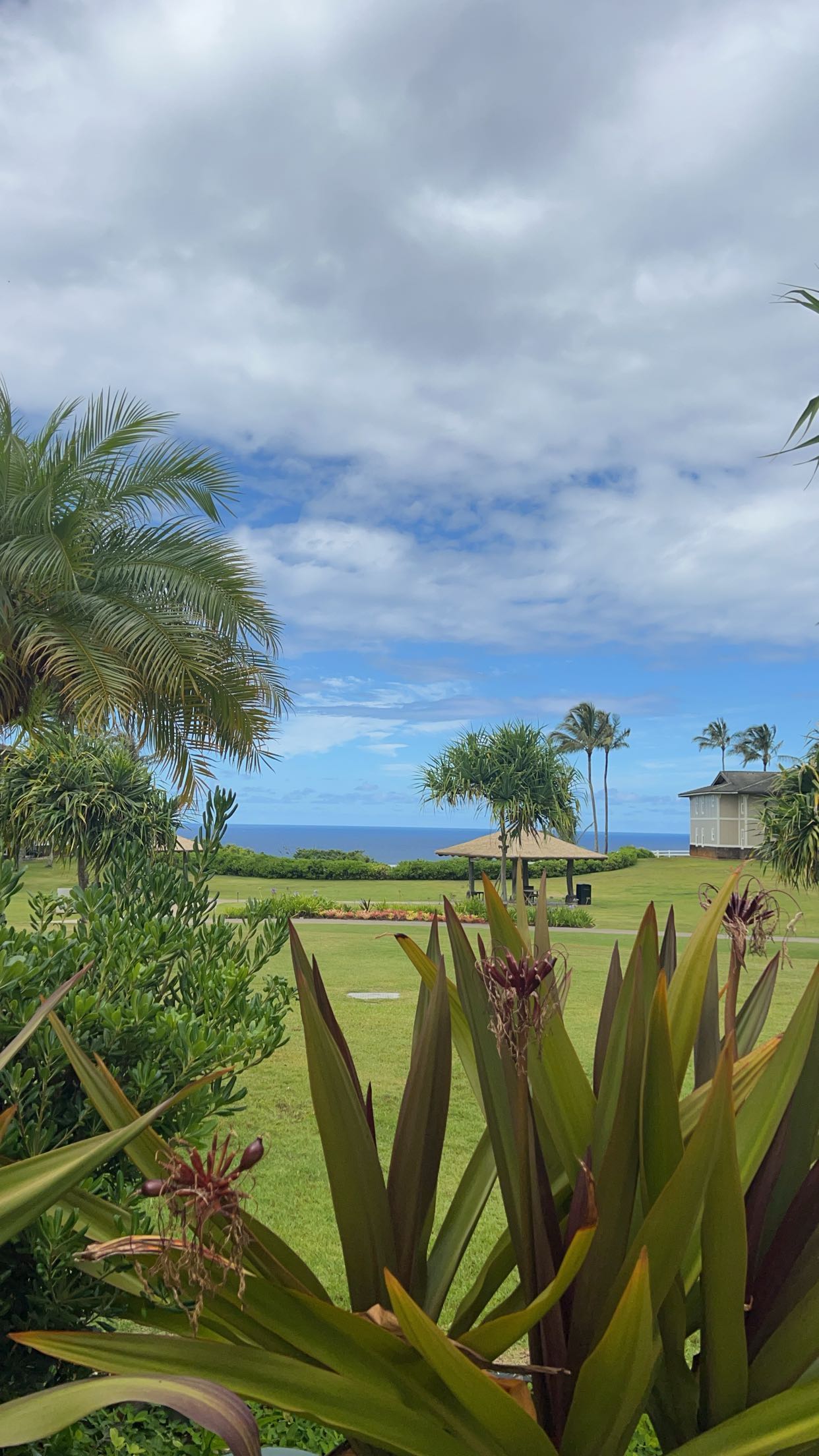 carmmieecat snapchat image archive image