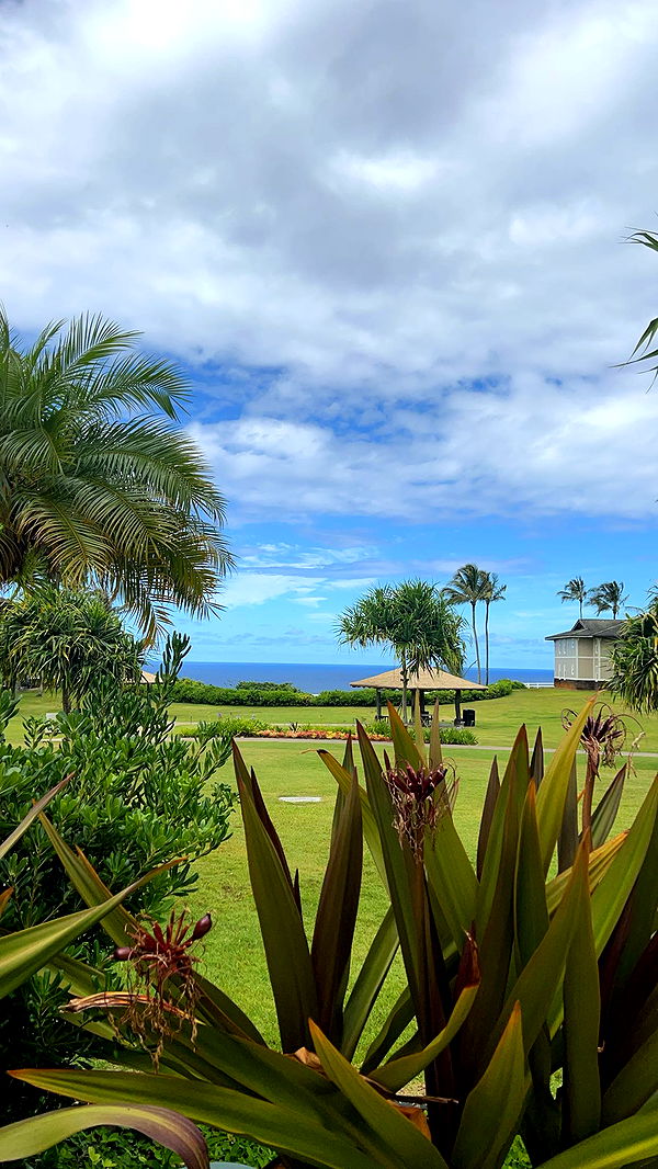 carmmieecat image ~ Altpins