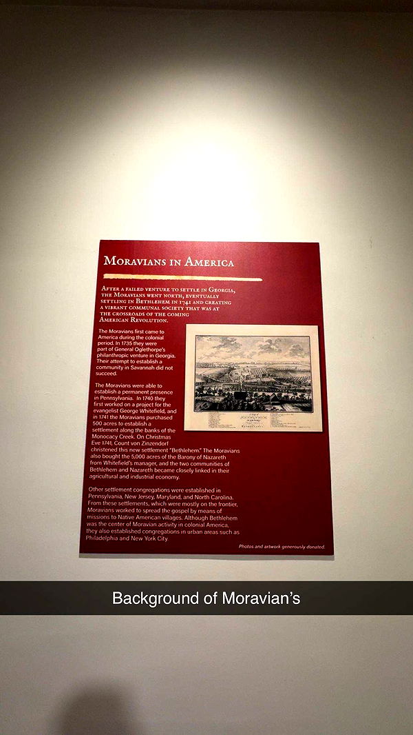 carmmieecat image ~ Altpins