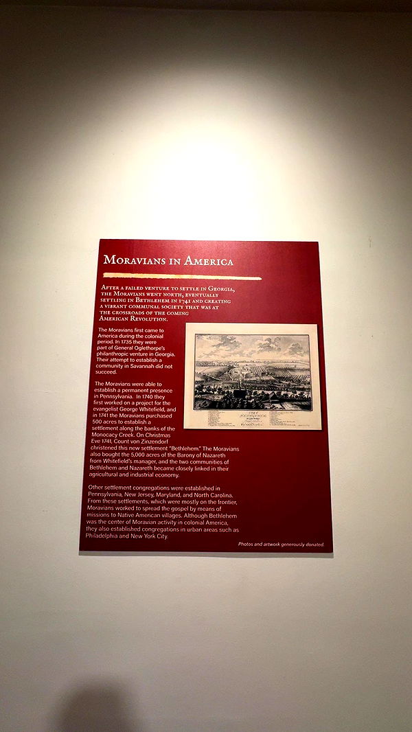 carmmieecat image ~ Altpins