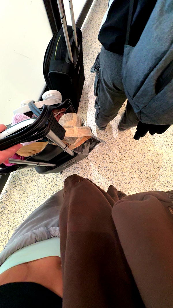 carmmieecat image ~ Altpins